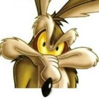 will_coyote (@will_coyote71) 's Twitter Profile