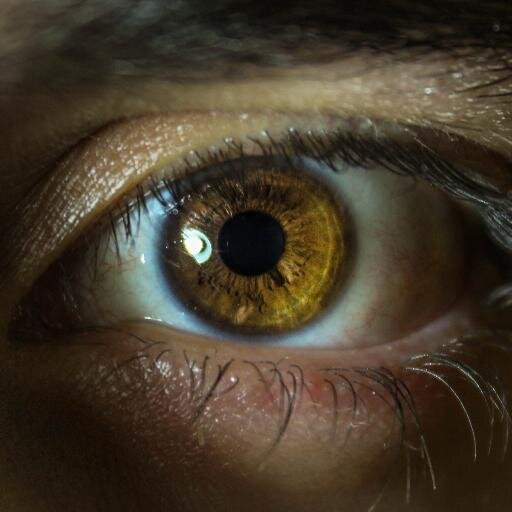 ejjelves's profile picture. Biólogo. Emprendedor. Fotógrafo. Editor en @clstartups