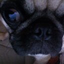 Marina - @marina_mata29 - Twitter