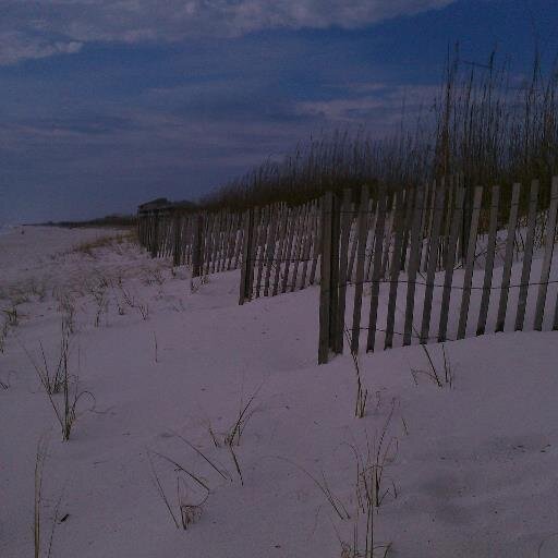 gigiinfl's profile picture. Trying to look at the positive, fun side of life and loving being a Gigi to five amazing grandchildren!