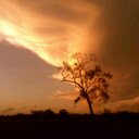 daisy acuna - @acucaday - Twitter