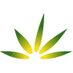 Cannabis Frontier (@cannabis_front) Twitter profile photo Cannabis Frontier (@cannabis_front) Twitter profile photo