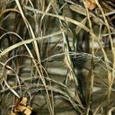 Dusty Long - @dustylong52 - Twitter