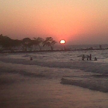 c4st4gn01's profile picture. 