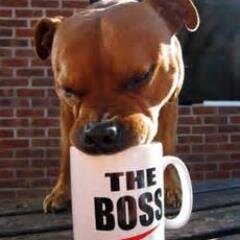 _pracx's profile picture. 