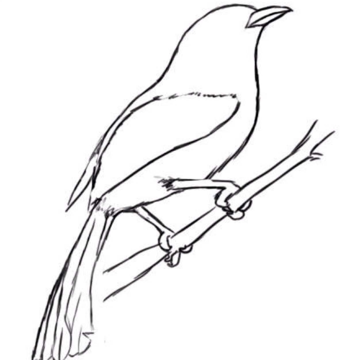 thislittlebirdM's profile picture. Social enterprise delivering self esteem and body confidence workshops in schools across the UK.