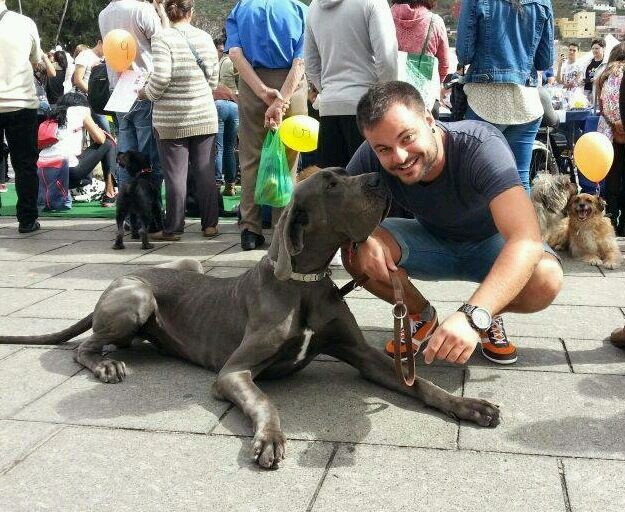 Deivicoperfil's profile picture. Canario al que le gustan los chistes malos😅