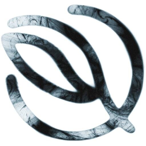 A five-piece progressive music group!