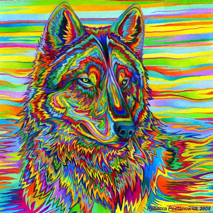 TrippyWolfSwag's profile picture. Trippy wolf - Trippy -