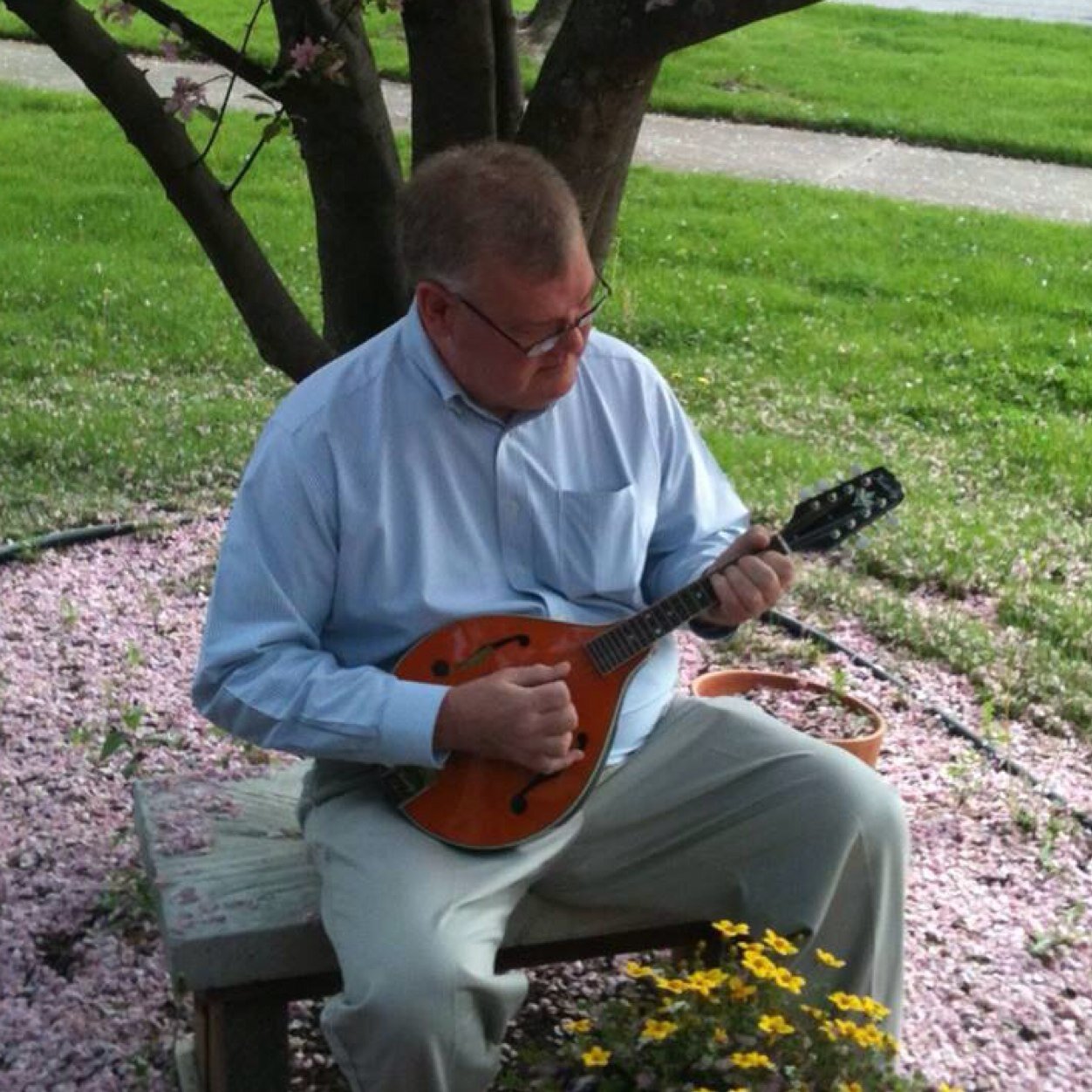 mandoliniac's profile picture. 