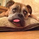 Joanne Brian - @JoanneBrian - Twitter