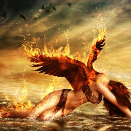 Bird girl./ Peace Warrior./ Leader of the New Species./ 6 wings./ Fear of heights./ Perceiver of hidden truth./ Talks to angels./