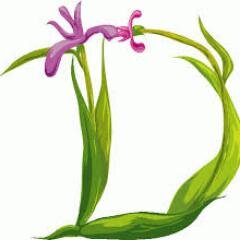 DiomerCardoso's profile picture. 