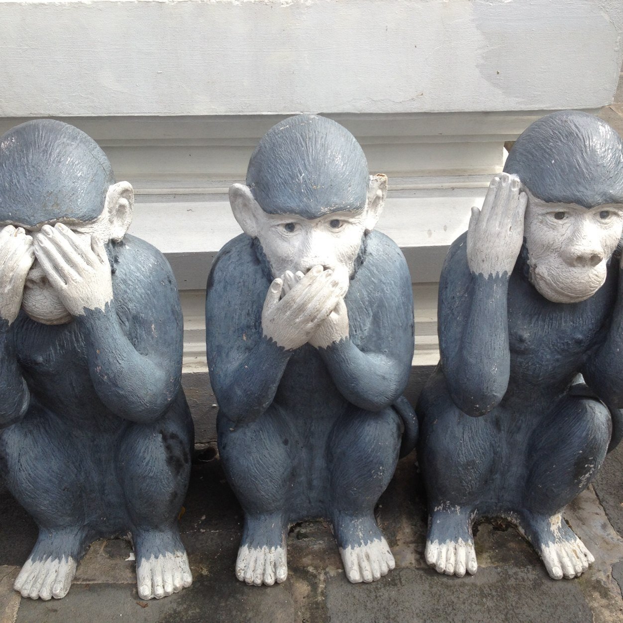 kmsenden's profile picture. 