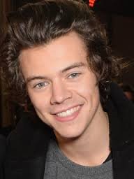 Who does not love Harry Styles and 1D has a serious problem. I really love these boys, even when they do something stupid. I love one direction. @Nmvanessa