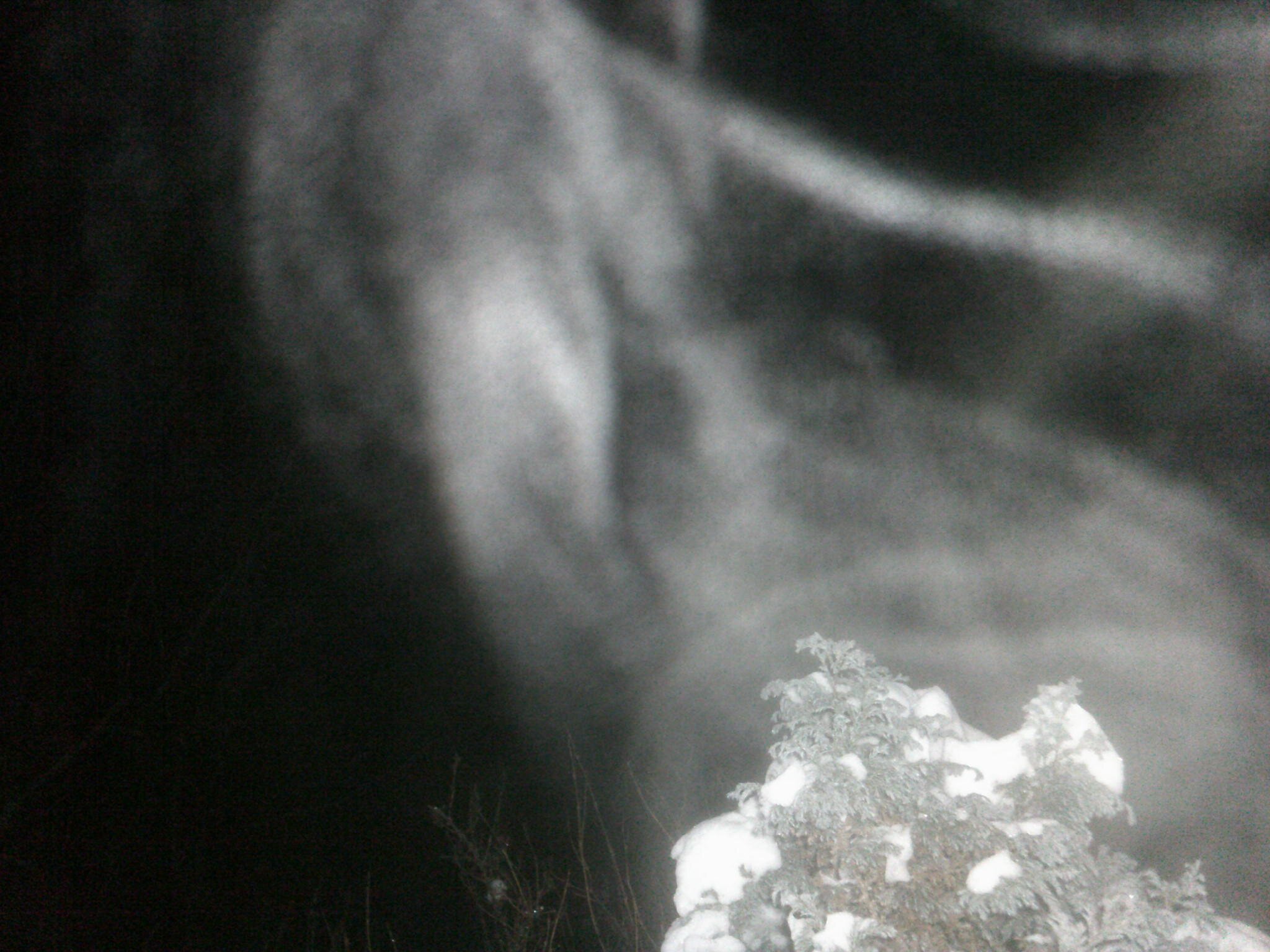 Tomowaters's profile picture. Marine Surveyor and Open Water Swimmer. Former Lloyd's of London Agent.   Admirer of Megaliths, Stones Circles and Cairns and mists in the Old World & the New