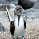 Sarah Glickman - @SarahGMon - Twitter