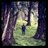 Mang_Tebal's profile image