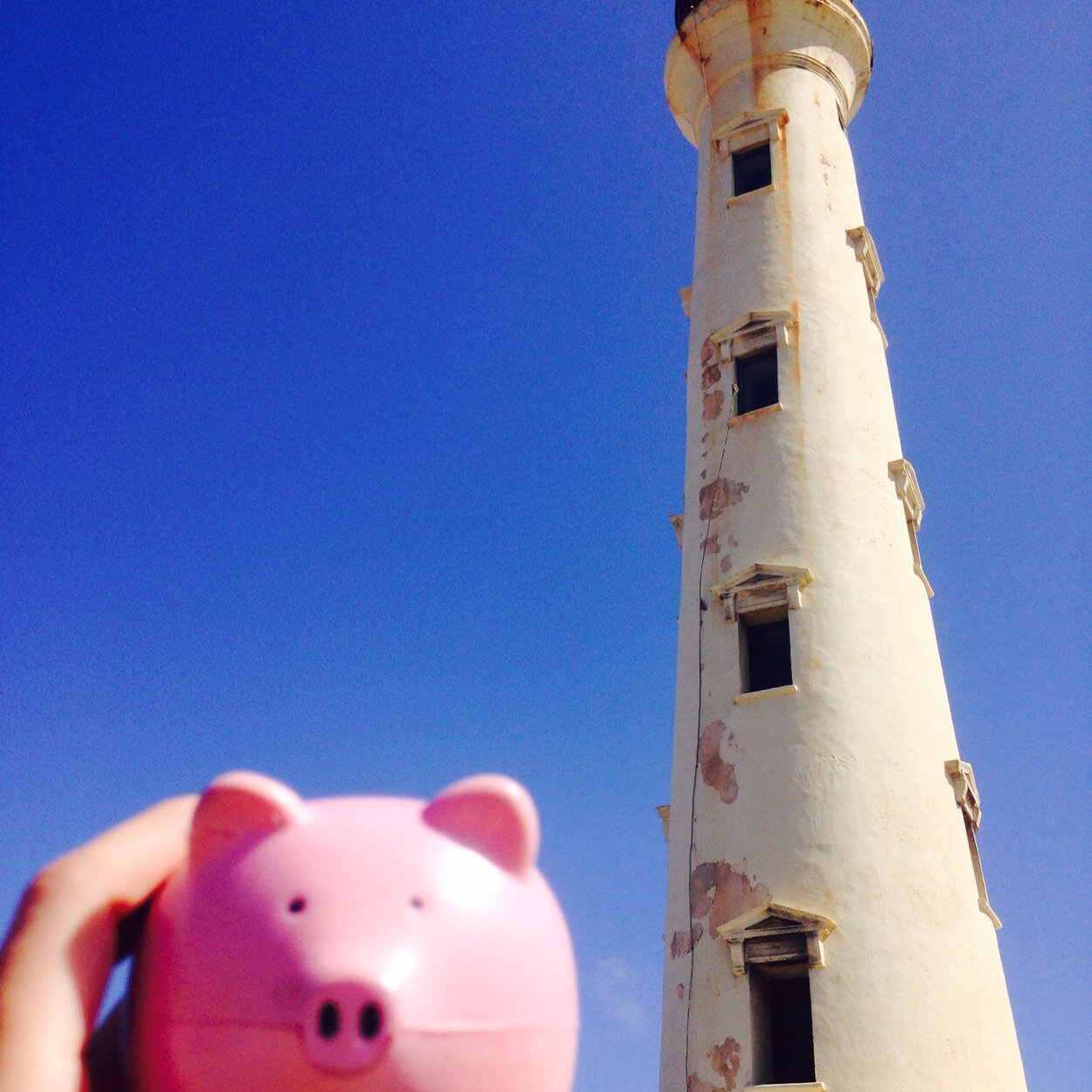 My traveler Chancho ( piggy) ...Adventures are out there...Explore....Discover...Live & Love ✈️⛵️...Move around from place to place