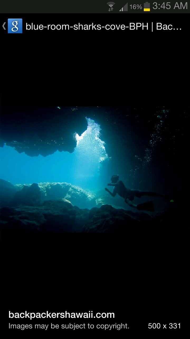 FlikaWika's profile picture. 