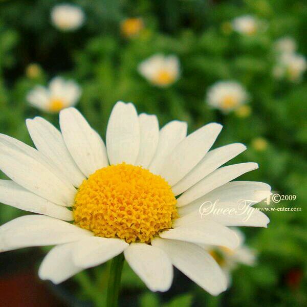 ‏اهدنا الصراط المستقيم

ﺍﻟﻠﻬﻢ ﺃﺭﻧﺎ ﺍﻟﺤﻖ ﺣﻘﺎً، ﻭﺍﺭﺯﻗﻨﺎ ﺍﺗﺒﺎﻋﻪ، ﻭﺃﺭﻧﺎ ﺍﻟﺒﺎﻃﻞ ﺑﺎﻃﻼ‌ً، ﻭﺍﺭﺯﻗﻨﺎ ﺍﺟﺘﻨﺎﺑﻪ، ﻭﻻ‌ ﺗﺠﻌﻠﻪ ﻣﻠﺘﺒﺴﺎً ﻋﻠﻴﻨﺎ ﻓﻨﻀﻞ،واجعلنا للمتقين إماما