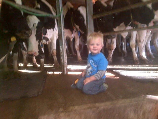 Retired dairy farmer and  attempting to put the cash  in cash crop farming.Happily married father of one