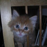 marcos draco (@marcosdraco) 's Twitter Profile