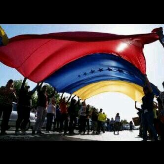 daninkab's profile picture. 