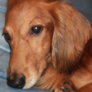 children0373's profile picture. 古田新太、劇団新感線、大泉洋、西原理恵子さんなどちょっとかたよった趣味をもってます。