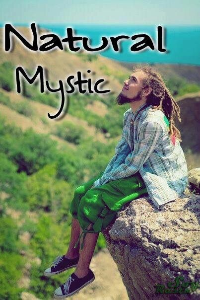 ~ Welcome to Natural Mystic ~ ~Bienvenidos a Natural Mystic ~ Twitter Official © █║│█│║▌║││║█║▌║▌║™ ®