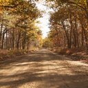 Robert Daniel Copes - @RobertCopes - Twitter