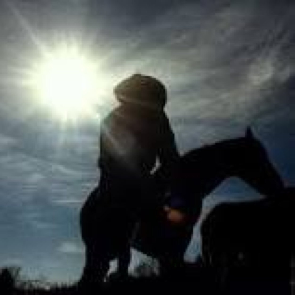 #Baseball, #Bullriding, #BroncRiding, #Bulldoggin, #Ropin, #RodeoRoad, and occasionally some #hockey and #football!
