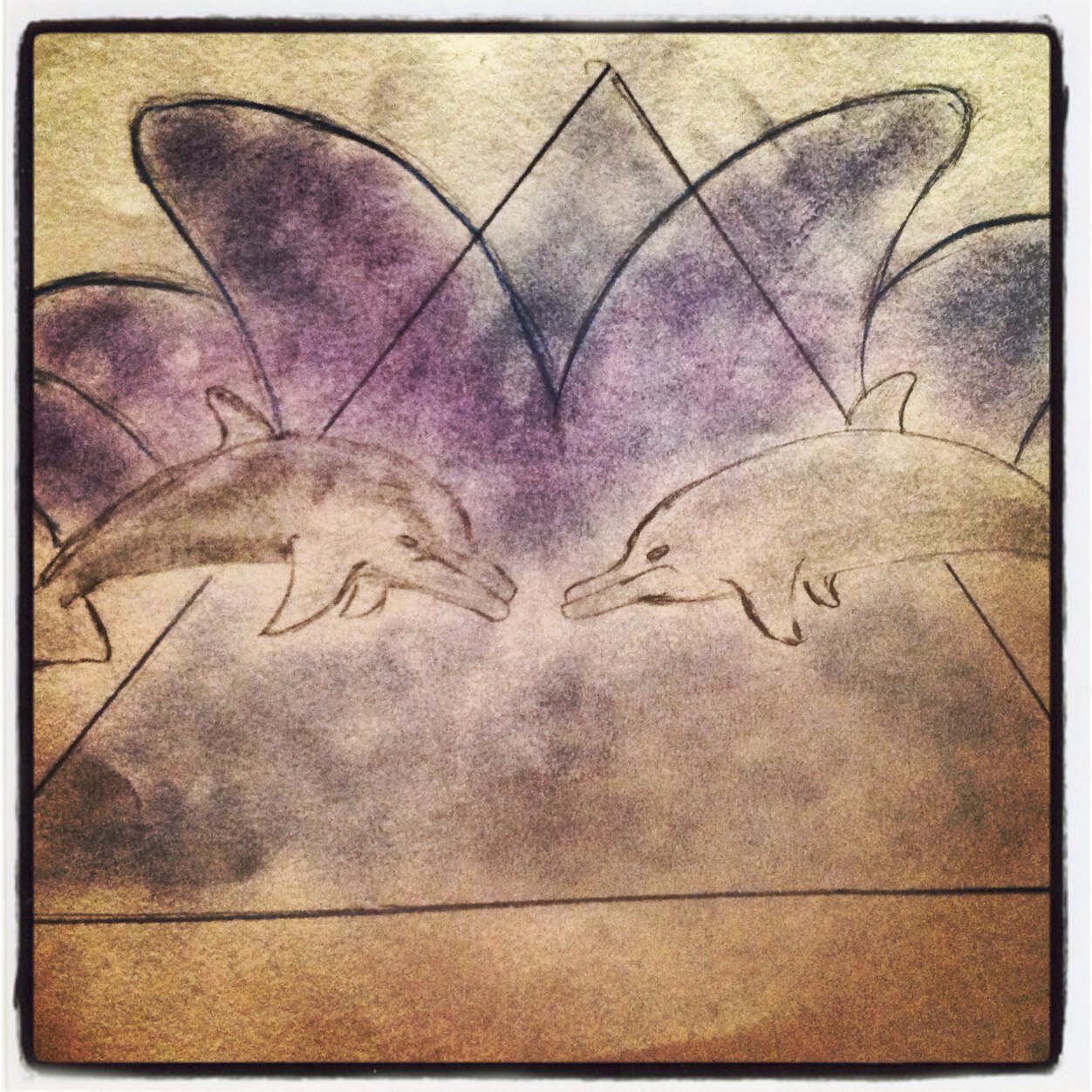 OCetacean's profile picture. 