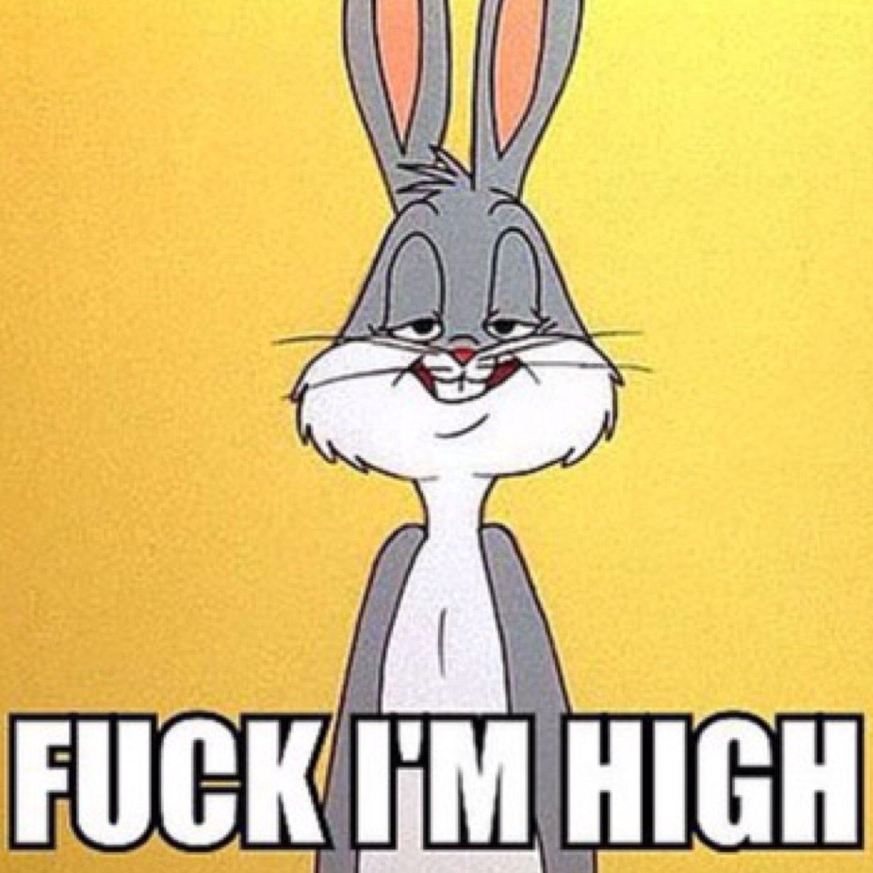 STAY LIFTED to all you stoners, to all you non stoners, GET LIFTED!