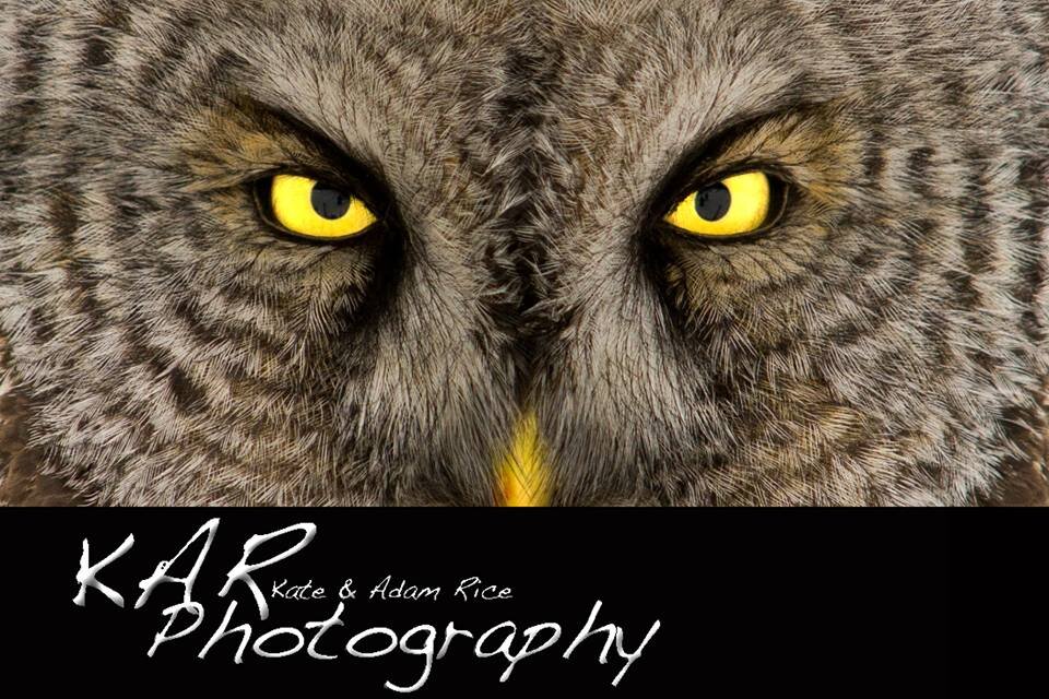 Kate and Adam Rice (KAR) Wildlife and Outdoor Photographers
