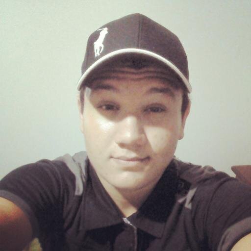 Palmeiras 3