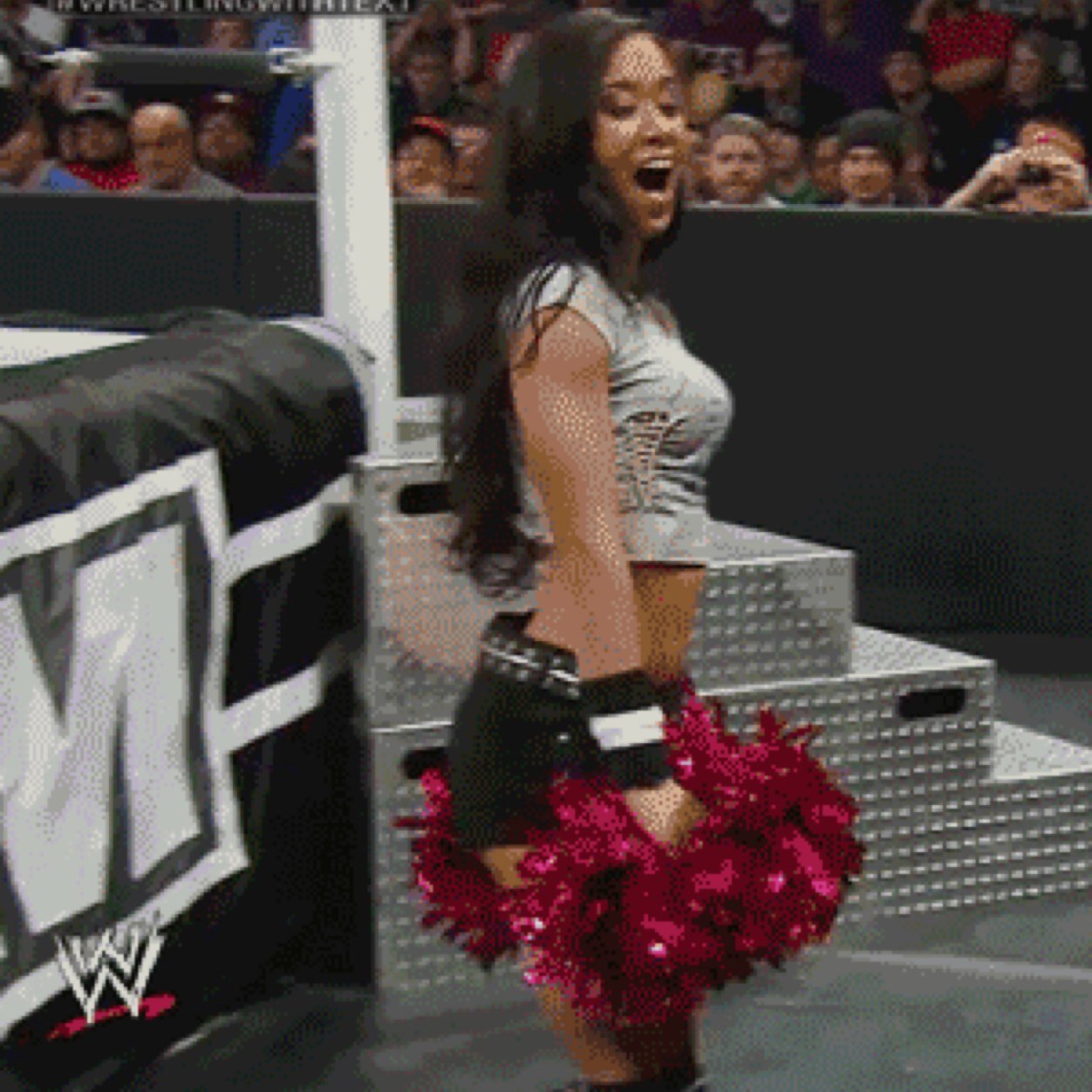 colles_n's profile picture. WWE fan I like AJ Lee,Dolph Ziggler, CM Punk,Daniel Bryan,The Bella Twins,Kaitlyn....etc.....