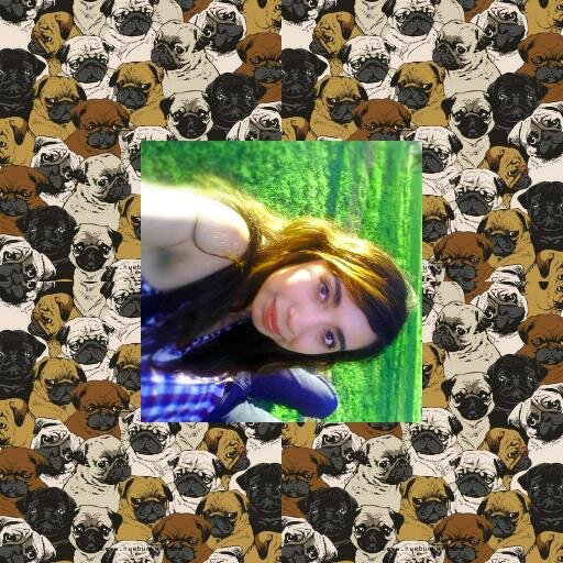 SheJustWannaFly's profile picture. ñe