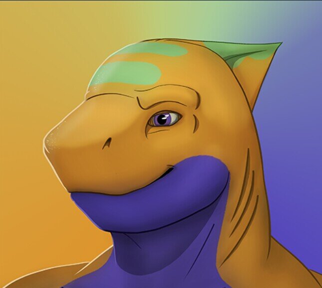 31 l Gay l Out l Furry I PC Gaymurr l Table Top Gamer l Reader l Writer l Fur Con Goer: MWFF/AC