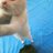 seiyou6222's profile image