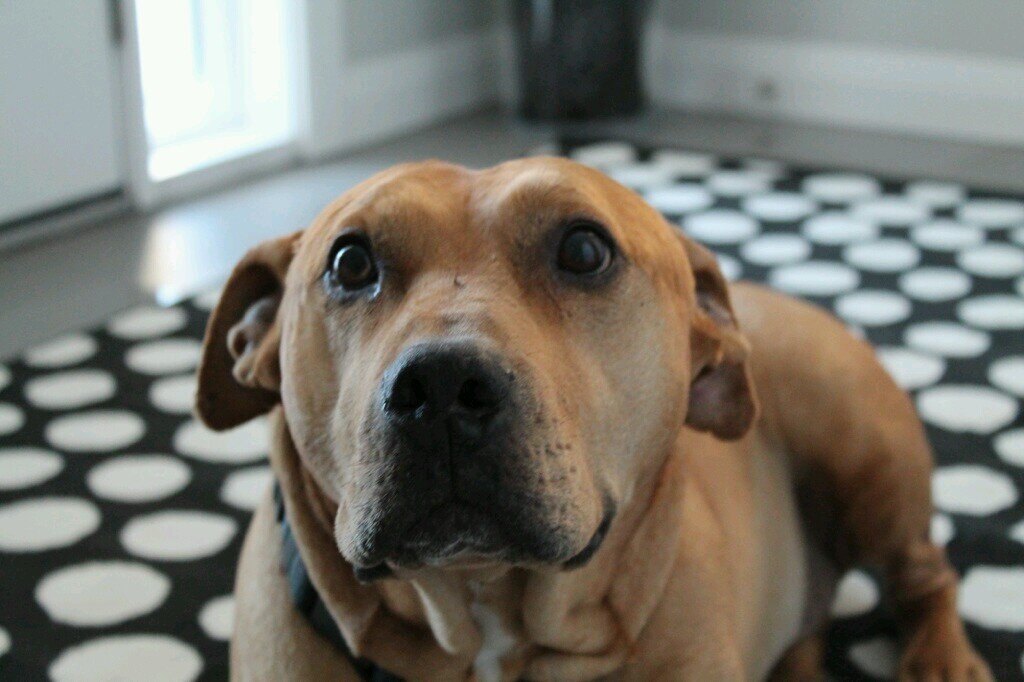 DeloreyThe's profile picture. 