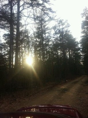 ArkansasMisfit's profile picture. 140 characters of lyrics, sarcasm or bitching. Love God, sweet tea & the SEC. #WPS