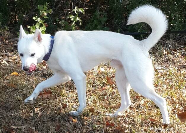 ChinsimLife's profile picture. An eclectic nut attempting to live life with sincerity... And restraint. :p