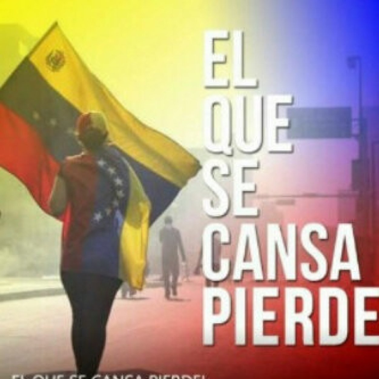 loquesea2's profile picture. 