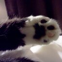 Veronica Little - @AbstractVictory - Twitter