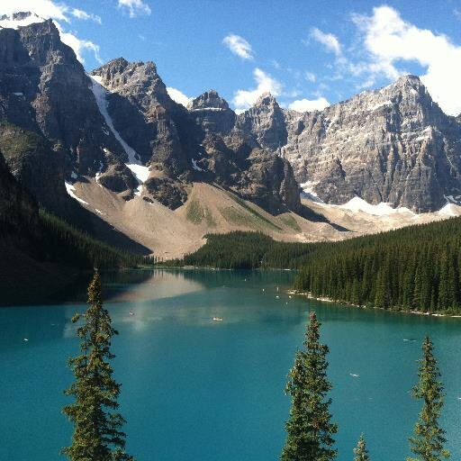 MomMcElfresh's profile picture. 