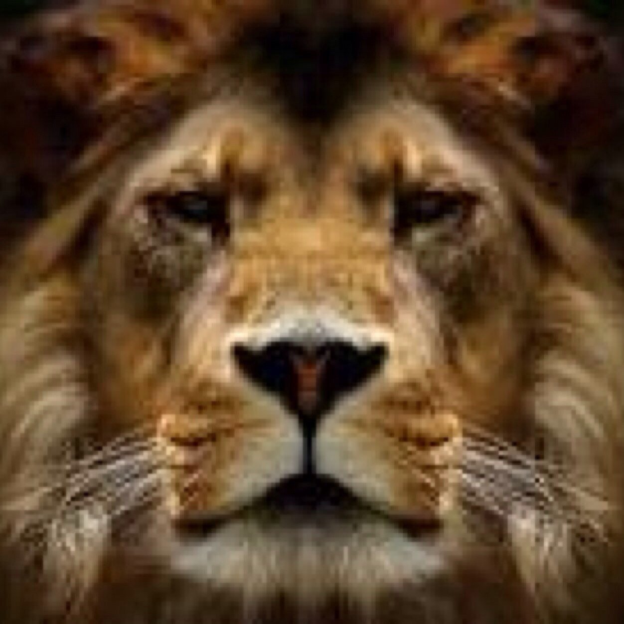 CushingBen's profile picture. Eastlake 16' big cat meow