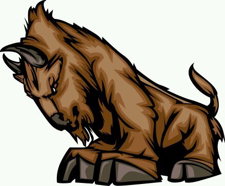 BisonAthletics1's profile picture. Home of the Cheyenne South High Bison Athletic Programs. STAMPEDE TIME! BISON PRIDE!