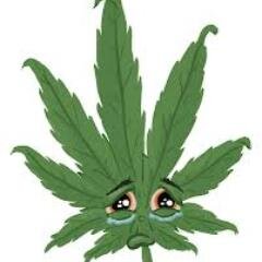 somke  some  pot (_̅_̅_̅(̲̲(̅_̅_̲̅м̲̅a̲̅я̲​̅i̲̅j­­u̲̅a̲̅n̲̅a̲̅_̅_̅_̅(​)ڪے~ THAT KID THAT NOBODY LIKES IN SCHOOL BMX LONGBORDING         +18     THUG LIFE
