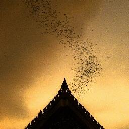 Find things to do, places to visit, culture to explore in Thailand. Useful information for your Thailand Travel. http://t.co/PAjDEptPjK